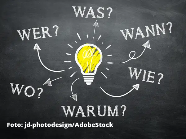 Vertreterwahlen professionell managen: Organisation, Ablauf, 
Rechtssicherheit